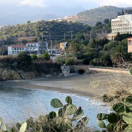 Les Pieds Dans L'Eau Daire Banyuls-sur-Mer Dış mekan fotoğraf