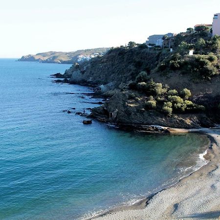 Les Pieds Dans L'Eau Daire Banyuls-sur-Mer Dış mekan fotoğraf