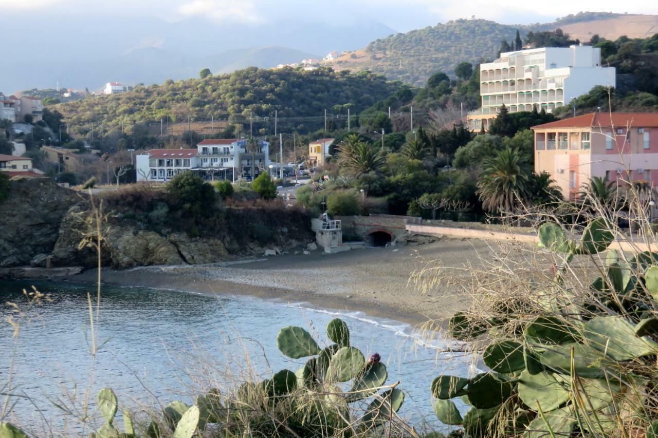 Les Pieds Dans L'Eau Daire Banyuls-sur-Mer Dış mekan fotoğraf